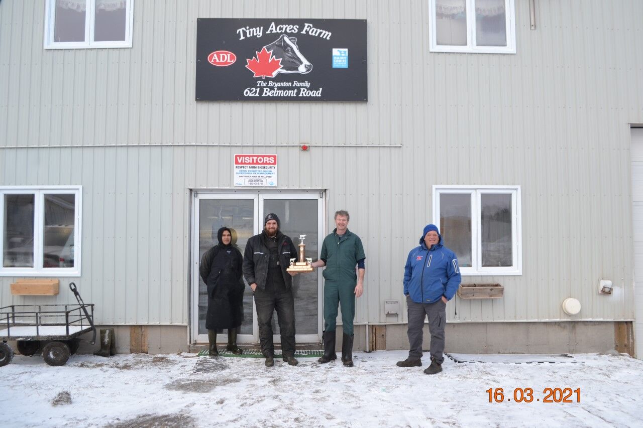 Tiny Acres Holsteins wins award